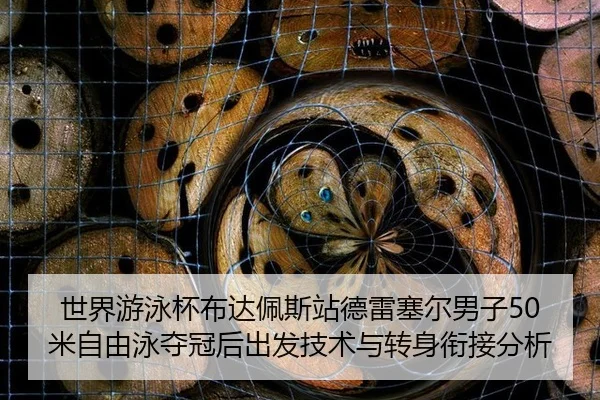 世界游泳杯布达佩斯站德雷塞尔男子50米自由泳夺冠后出发技术与转身衔接分析